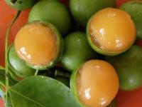 Kenep or genip or chennette. Kenep or genip or chennette.
